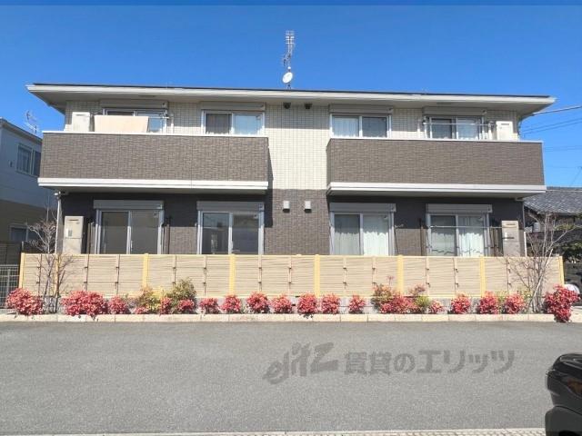 MAISON つわぶき