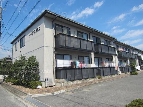 トータス井上