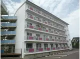 フェニックス島之内2