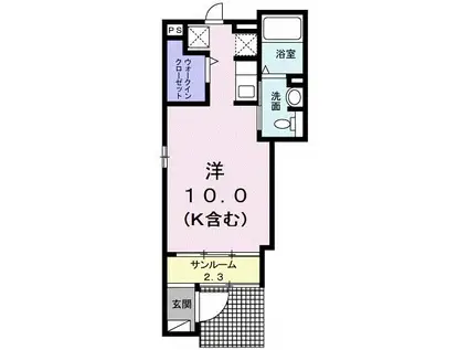 カーサ ディーオ(ワンルーム/1階)の間取り写真