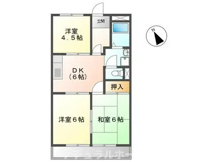 ハイム21(2LDK/1階)の間取り写真