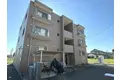ルピナス