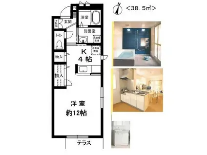 ビバーチェ住吉(1K/2階)の間取り写真