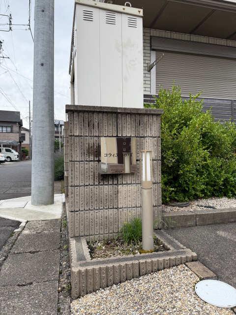 コラィユ・ドゥ・T W