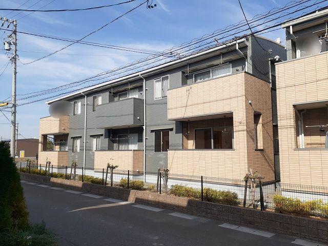 コートデイジーB