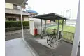 エーマミイ