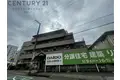 ルピナス