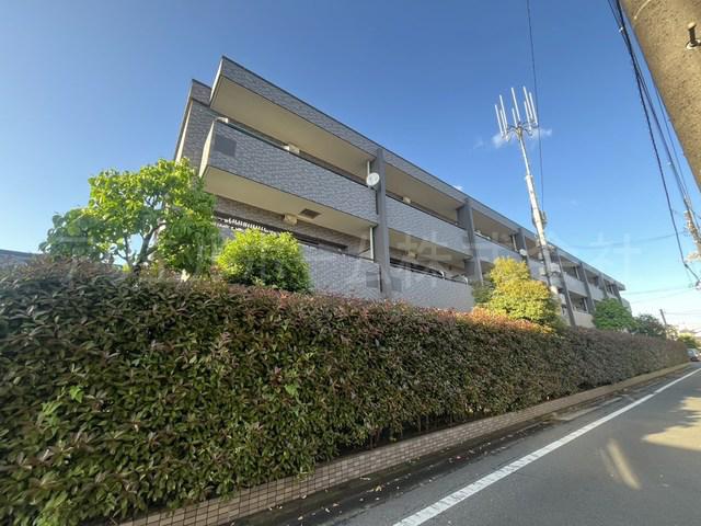 アルシオネ上さぎ