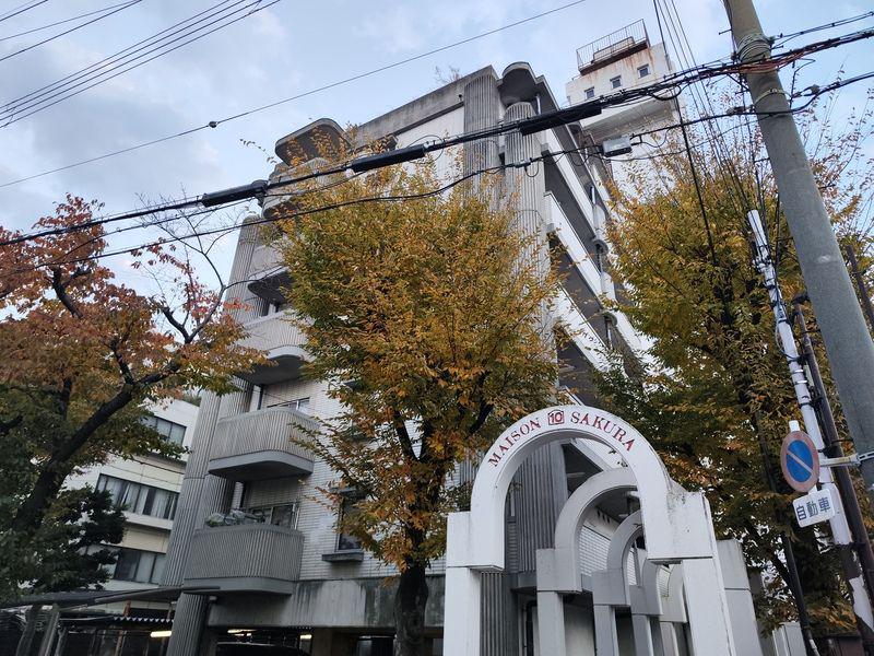 メゾンサクラ10期