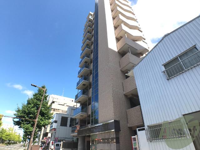 PINE上杉