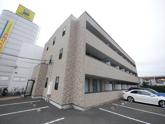 アンプルール フェール ライム
