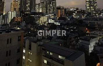 パレステュディオ新宿パークサイド