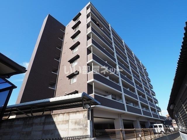 エヴァーグリーンQ