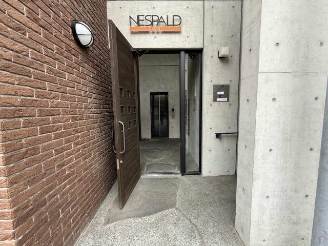 NESPALDEVE