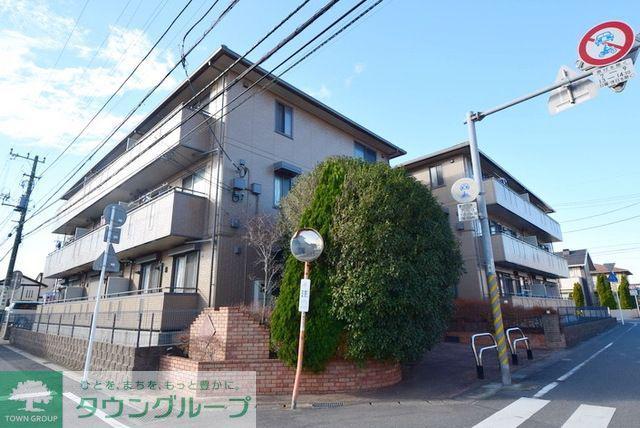 セジュール山の根
