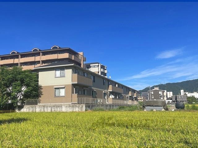 ヴィヴィアーナ