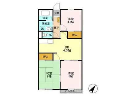 クレール今井(3DK/1階)の間取り写真