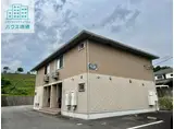ウィットシバタ