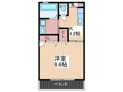 セフィラエルメス(1K/1階)の間取り写真