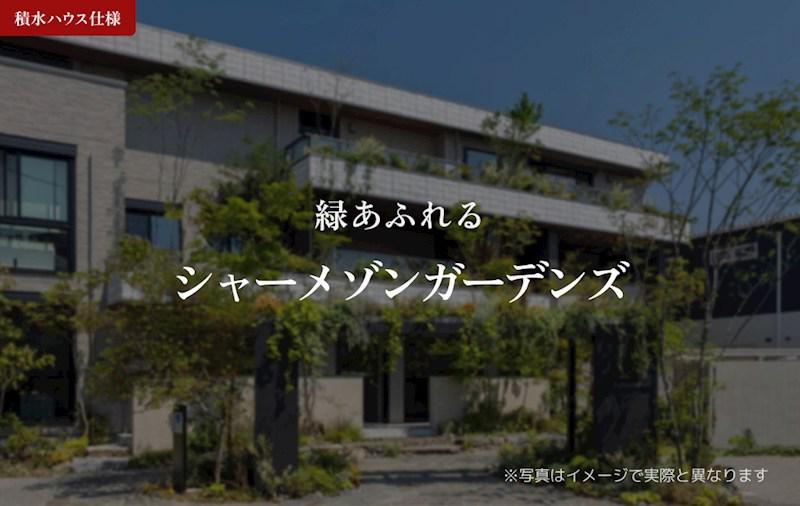 モハ セレーノ
