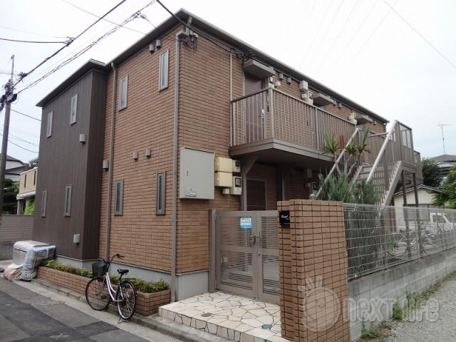 コーラルブルー
