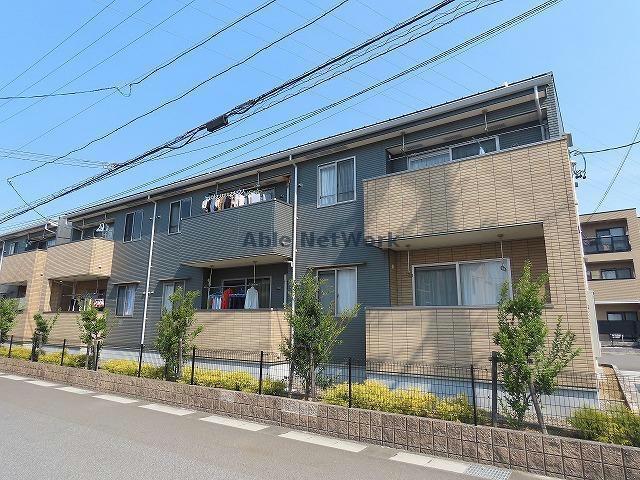 コートデイジーA
