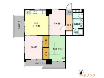 サンローヤル香坂(3DK/8階)の間取り写真