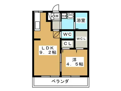 ハイツ中丸(1LDK/1階)の間取り写真