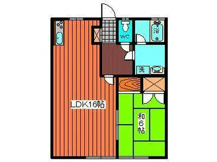 トマテーアパルタメント(1LDK/1階)の間取り写真