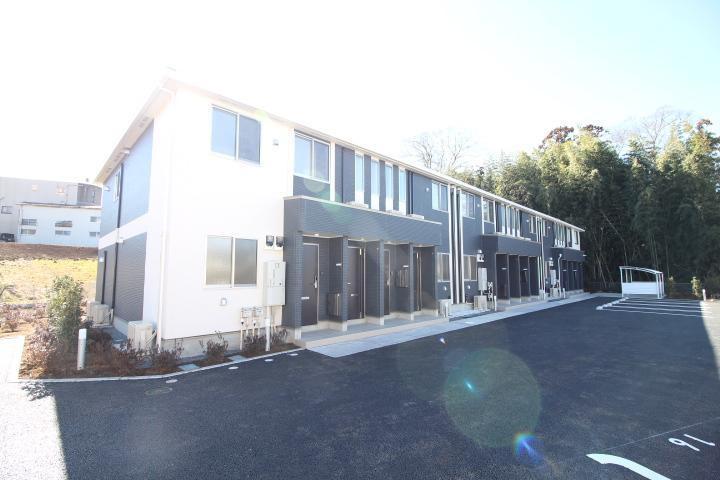 ティープラント5