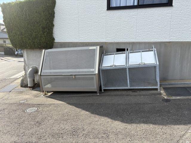 カトレア