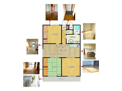 シャルム丸の内(3LDK/1階)の間取り写真