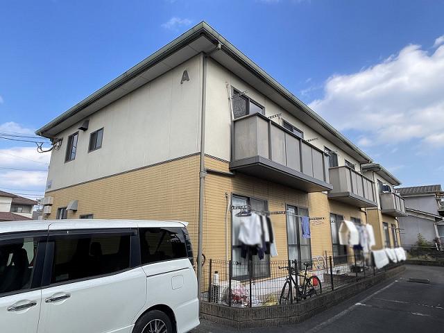 バンテージはまゆうA