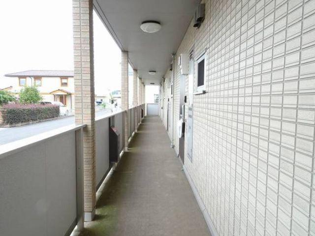 メルシーC