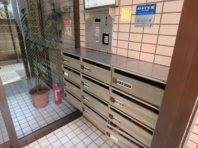 カルムサイトー