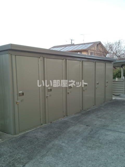 RISINGしらかわ
