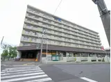 クラスターユーエム