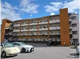 マリーエン・ケーファー澤岻
