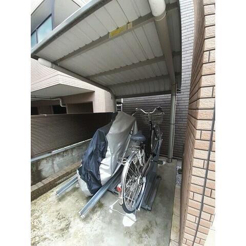 サングレース