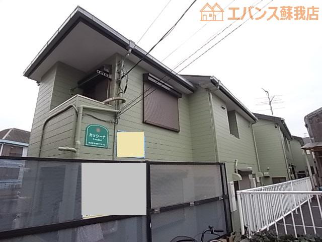 カッシーナ