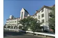 シティライフ高田