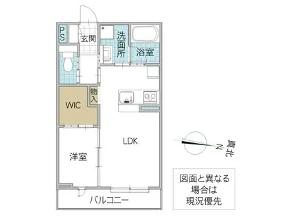 グラム天王町(1LDK/1階)の間取り写真