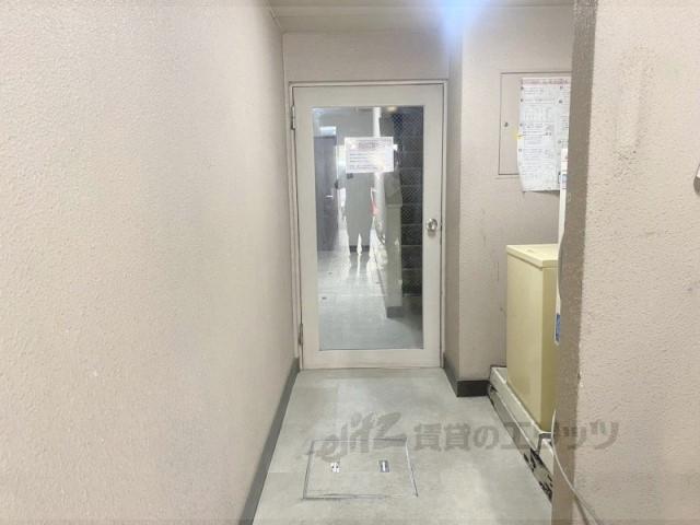 DSファースト