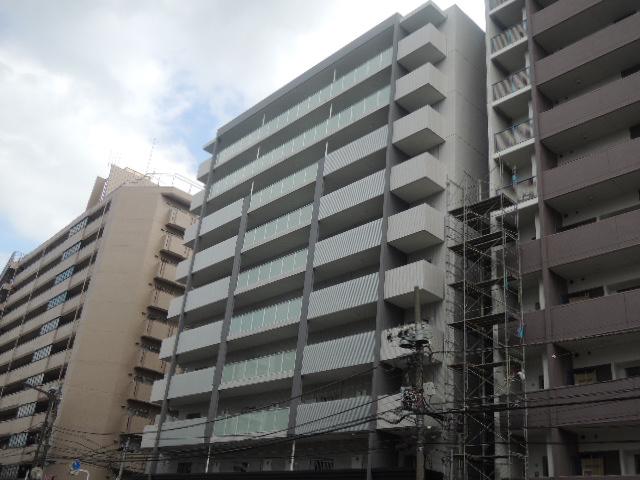 ウィズ アイビス