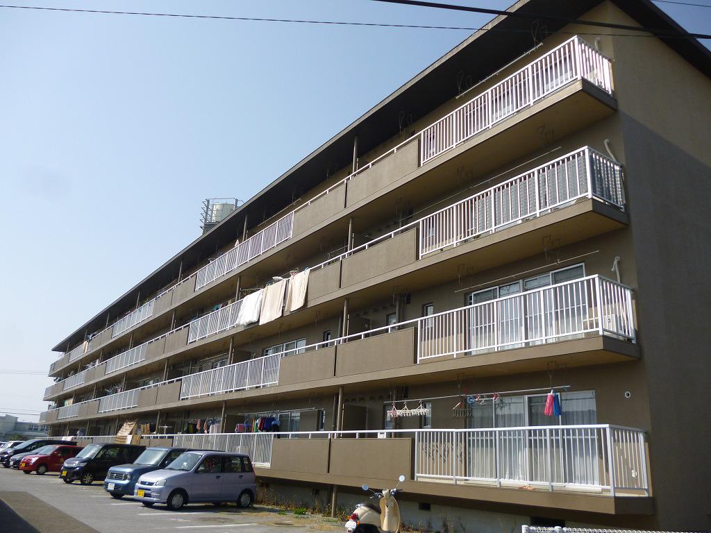 サルヴァトーレ花ヶ島
