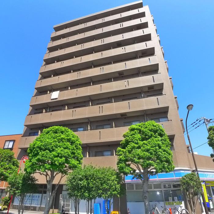 サンフラワー第6