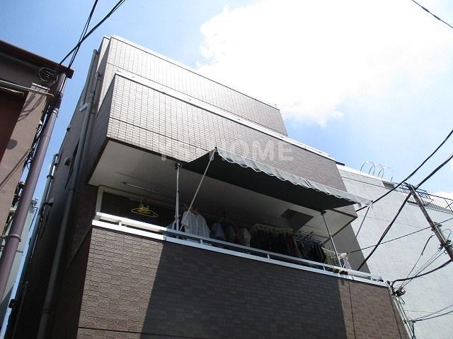 MS CORT ASAGAYA