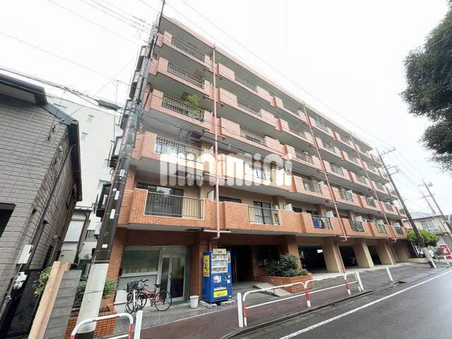 ヒルズセントポール