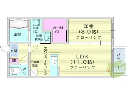 メゾン風雅(1LDK/1階)の間取り写真