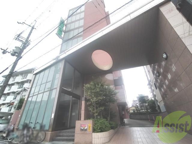 エクセレント上新12